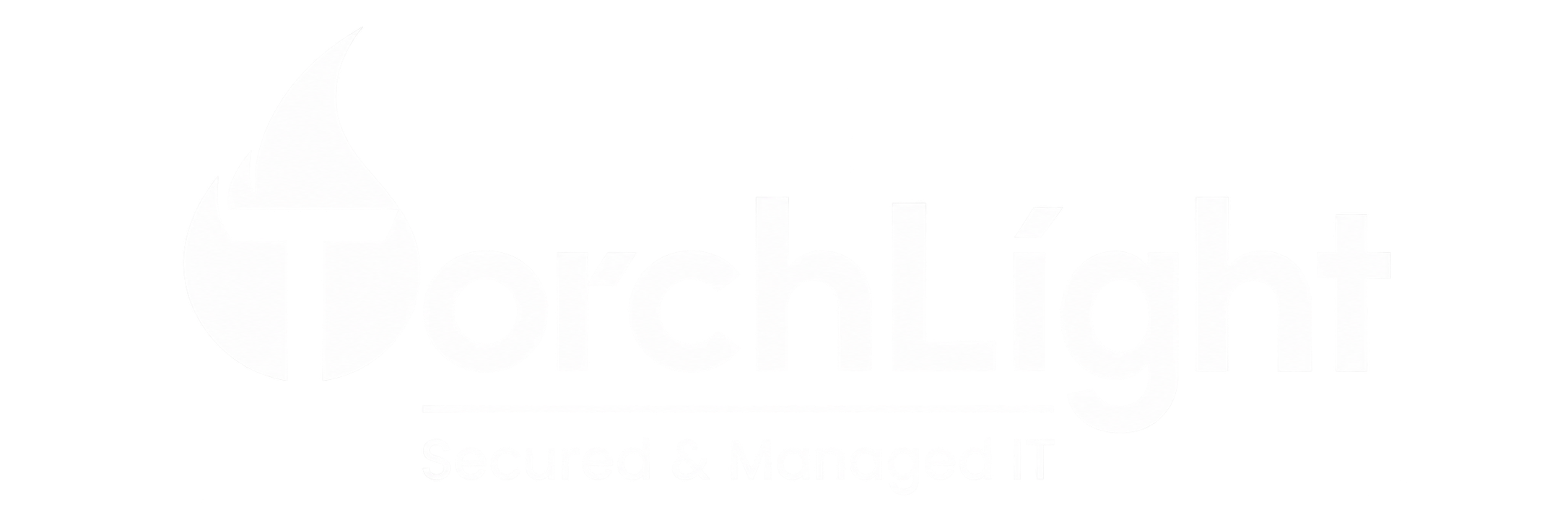 TorchLight Secured and Managed IT